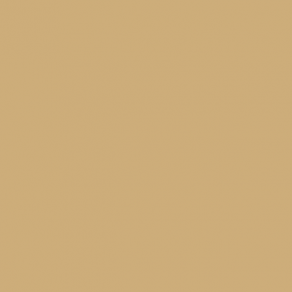 ColorSealant CS4206 beuken