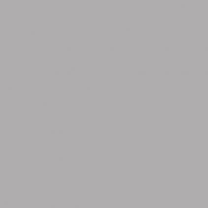 ColorSealant CS4216 midden grijs