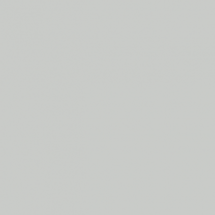 Soudal Siliconenkit RAL 7035 lichtgrijs 300 ml