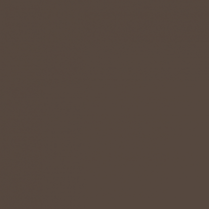 Soudal Siliconenkit RAL 8014 sepiabruin 300 ml