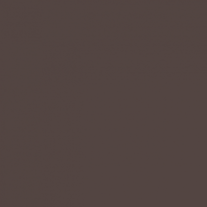 Soudal Siliconenkit RAL 8017 chocoladebruin 300 ml