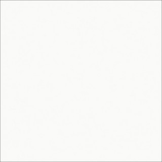 ColorSealant CS4242 wit RAL 9016