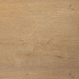 Douwes Dekker PVC dryback plank biscuit