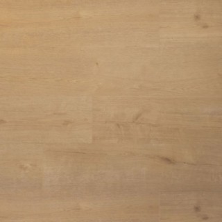 Douwes Dekker PVC klik SPC plank biscuit