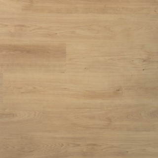 Douwes Dekker Spontaan Nootmuskaat - 19,2 cm, vlak