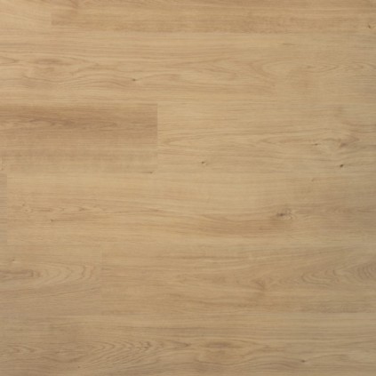 Douwes Dekker Spontaan Nootmuskaat - 19,2 cm, vlak