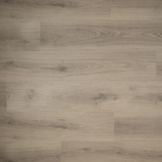 Douwes Dekker Spontaan Tijm - 19,2 cm, vlak