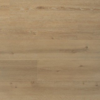 Douwes Dekker Trots laurier - 19,2 cm, PB 4V