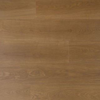 Douwes Dekker Trots salie - 19,2 cm, PB 4V