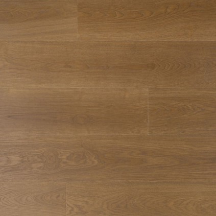 Douwes Dekker Trots salie - 19,2 cm, PB 4V