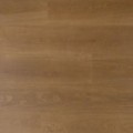 Douwes Dekker Trots salie - 19,2 cm, PB 4V