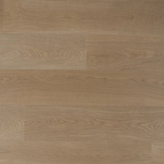 Douwes Dekker Trots kervel - 19,2 cm, PB 4V