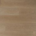 Douwes Dekker Trots kervel - 19,2 cm, PB 4V