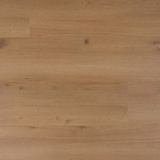 Douwes Dekker Krachtig mosterd - 24,4 cm, PB 4V