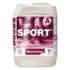 Blanchon sport lak 2K mat 9 L
