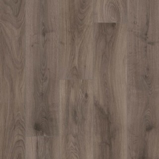 Otium at Home Ritual ash
