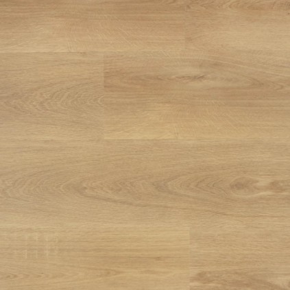 SENSE H 955 SPC B 123 x 22,5 cm