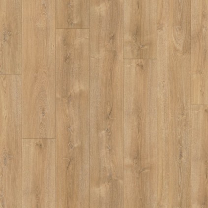 Douwes Dekker Puur Basilicum 8 mm, 24,3 cm, 4V