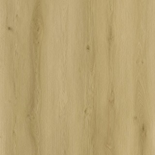 SENSE EXLargo SPC EXL530 220 x 26 cm