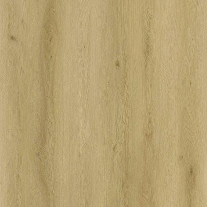 SENSE EXLargo SPC EXL530 220 x 26 cm